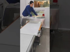 Stal nierdzewna Interceptor przemysłowy Detektor metalu Pas przenośny 220 napięcie