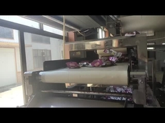 Długość i wysokość pasów Detektor metalu do kontroli obiektów