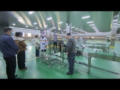 Maszyna do kontroli promieniowania rentgenowskiego żywności dla przemysłu Produkty butelkowane dla zwierząt domowych