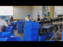 Całkowita struktura wykrywacza metali żywnościowych z nierdzewnym 304 z przetwarzaniem sygnałów cyfrowych i OEM