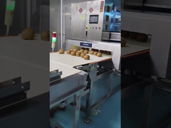 Automatyczny przenośnik detektor metalu 0,5 mm Wrażliwość Inspekcja surowców spożywczych / kosmetycznych