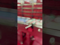 Przemysłowe urządzenie do wykrywania przedmiotów obcych w zakresie kontroli promieniowania rentgenowskiego żywności