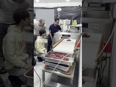 Wykrywacz metali klasy spożywczej