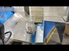 Bezpieczeństwo żywności Detektor szkła metalu Produkty z odbiornikami Maszyny rentgenowskie dla przemysłu spożywczego